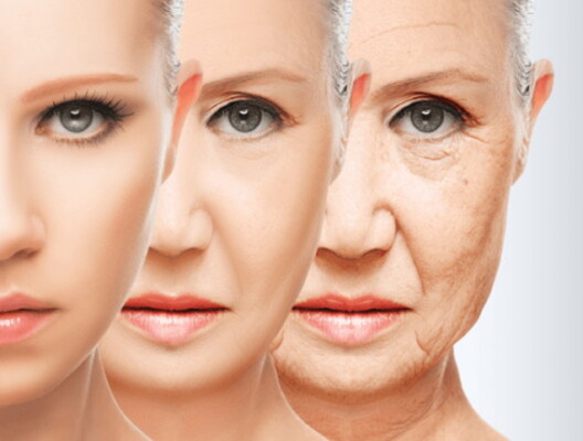 Wie viel Einfluss haben wir auf unseren Alterungsprozess?